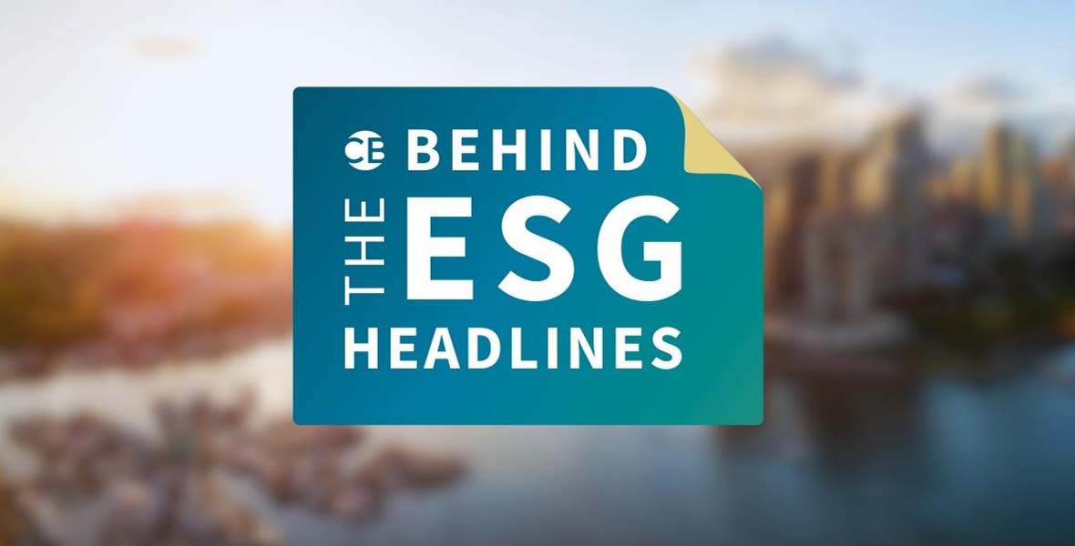 Aggrandization Behind the ESG - DigiGov Central